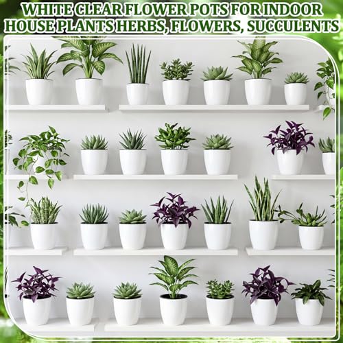 Self Watering Plant Pots, 3.5'', White Black, 36 Pcs - color: White Black, size: 3.5''