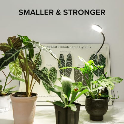 Small Plant Lights for Indoor Growing, Clip On Full Spectrum LED, 2 Pack - size: 2-Pack