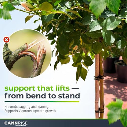 Anchor Bands for Trellising – 155-Pack 14 cm/5.5 in Rubber Vine Ties, UV-Protected Bands: Grapevines, Trees & Climbing Plants – Tool-Free Loop-and-Anchor Design for Install, Weatherproof - size: 155 pack / 5.5"