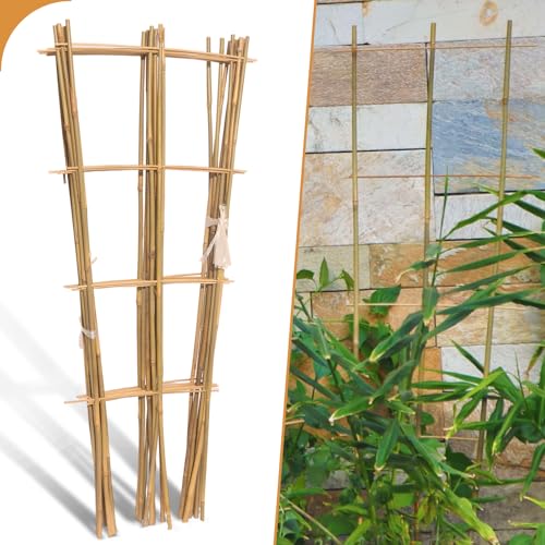10 Pack 3ft Bamboo Trellis for Climbing Plants, Fan-Shaped Garden Support - size: 3 FT