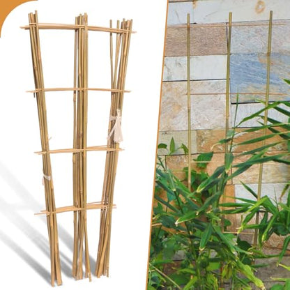 10 Pack 3ft Bamboo Trellis for Climbing Plants, Fan-Shaped Garden Support - size: 3 FT