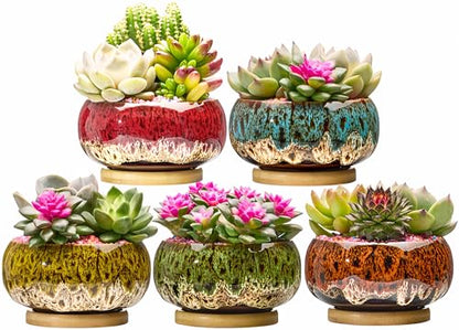 Cute Ceramic Succulent Garden Pots, Planter with Drainage and Attached Saucer, Set of 5 -Plants Not Included (Round+White Border) - color: Round+white Border