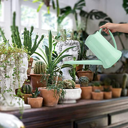 XXXFLOWER Small Watering Can, 67oz (1/2 Gallon) Indoor Houseplants Green - size: Green-2L