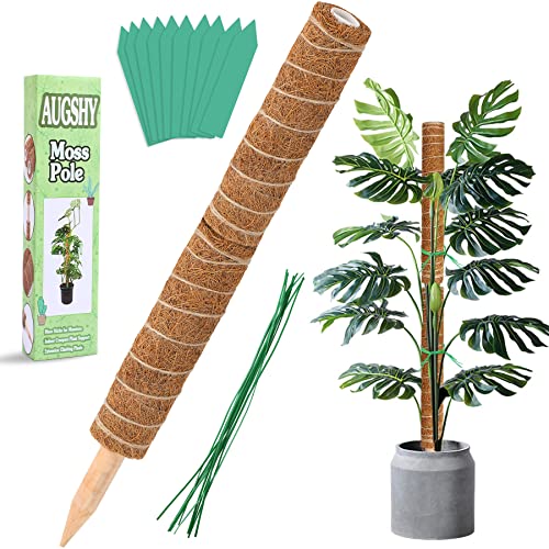 Augshy Moss Pole - 20 Inch Coir Totem for Monstera Climbing Indoor Creepers Plant Support Extension (2 Pieces, 12 Inch Each) - size: 20 inches