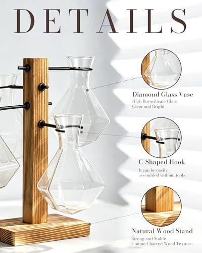 Plant Propagation Stations with Wood Stand, 4 Vases Diamond Shape - color: Diamond