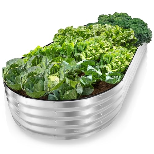Plant & Plot Galvanized Raised Garden Beds Outdoor // 8×4×1 ft Planter Raised Beds for Gardening, Vegetables, Flowers // Large Metal Garden Box // Patented Tool-Free Design (Silver) - color: Silver, size: 8×4×1 Ft
