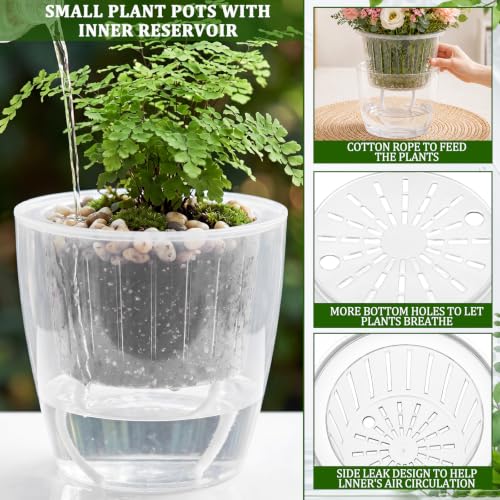 Self Watering Plant Pots, 7.1'', Transparent, 6 Pcs - color: Transparent, size: 7.1''