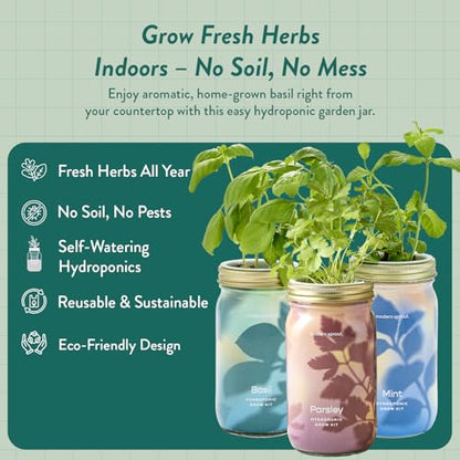 Modern Sprout Garden Jar Gift Pack - Hydroponic Kit - Basil, Parsley & Mint - color: Basil, Parsley, Mint, size: Garden Jar Gift Box Set