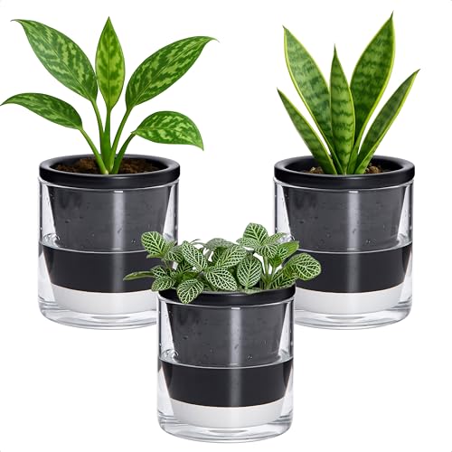 D'vine Dev Self-Watering Black Terracotta Planter, 4 in, 3-Pack, 37-Z-A-3-T - color: Black