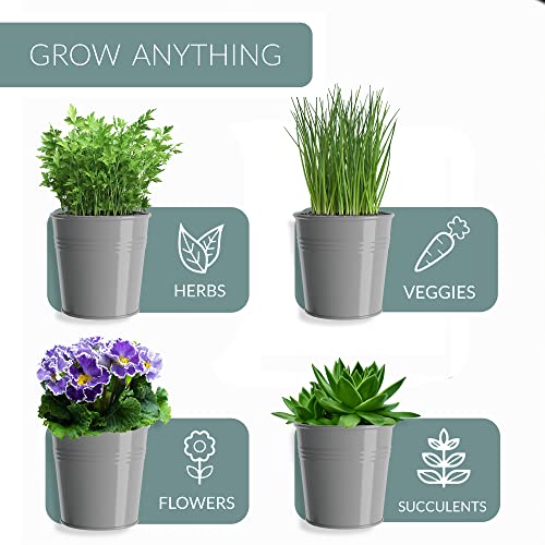 Barnyard Designs Indoor Herb Garden Planter Pots Set/3 (Cool Grey) - color: Cool Grey