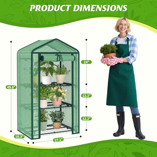AlisisFores 3-Tier Greenhouse, PE Cover, 4ft Tall - style: 3-Tier