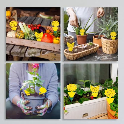 120 Pack Yellow Sticky Fungus Gnat Traps for Indoor & Outdoor Plants - size: 120 Packs