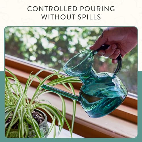 Modern Sprout Glass Watering Can - 32 oz - Long Spout Modern Decor (Teal) - color: Teal