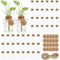 48PCS Plant Propagation Stations 3.35'' Plastic Propagation Jars Clear Vase - size: 48 Pack