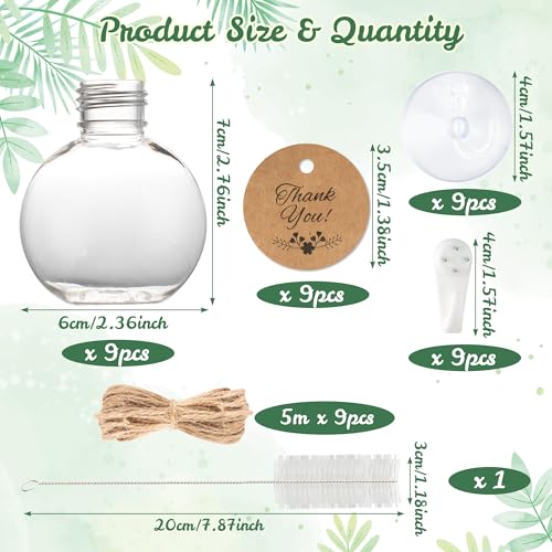 Plastic Window Propagation Stations Hanging Plant Propagation Vases