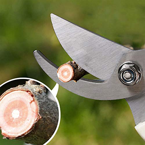 BUGUI Bypass Garden Pruning Shears - 2 Pack, Ultra Lightweight Hand Pruners Make Cut Smooth & Clean, Professional Gardening Scissors for Cutting Live Flowers, Plants, Light Branches - style: 7"FlowerShearsSet(C010)