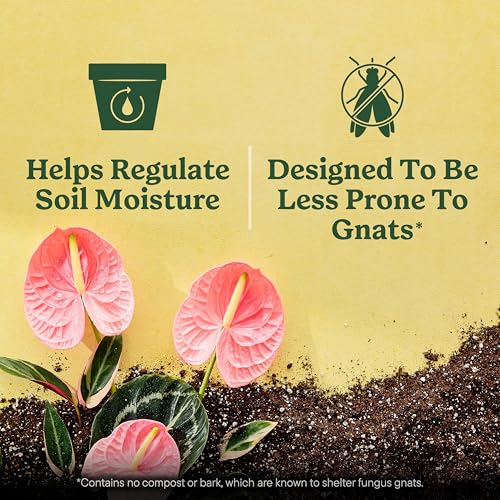 Miracle-Gro Indoor Plant Grow, Feed & Protect Houseplant Care Bundle - size: 6 qt (2-Pack)