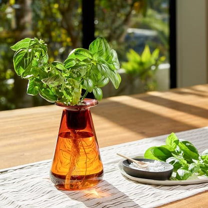 Lettuce Grow Counterstand | Hydroponic Garden Kit with LED Grow Light