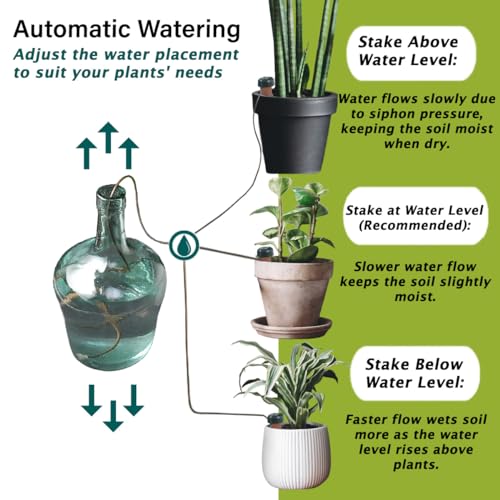 Blumat Classic Self-Watering Stakes - Prevents Overwatering and Underwatering for Healthy Growth While You are Away - Ideal for Indoor Plant Watering, 15 Pack, wo Adapter - size: 15 Pack without Adapter