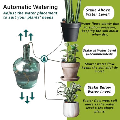 Blumat Classic Self-Watering Stakes - Prevents Overwatering and Underwatering for Healthy Growth While You are Away - Ideal for Indoor Plant Watering, 15 Pack, wo Adapter - size: 15 Pack without Adapter