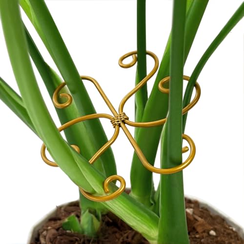 5PCS Plant Stem Support Rings for Monstera & Indoor Plants, 4.1 x 3.9 in Metal Plant Stem Holder