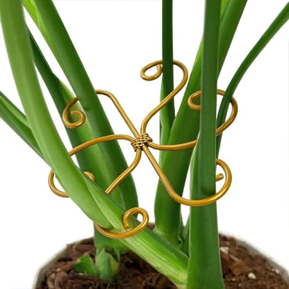 5PCS Plant Stem Support Rings for Monstera & Indoor Plants, 4.1 x 3.9 in Metal Plant Stem Holder