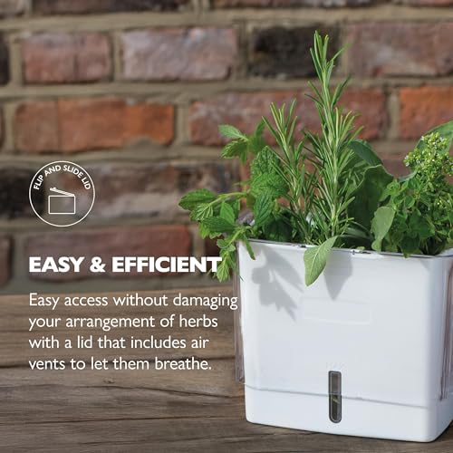 Cole & Mason Fresh Herb Keeper - Acrylic Storage Container for Refrigerator - Storage for Herbs & Vegetables for Fridge - Fresh Herb Keeper - size: Fresh Herb Keeper