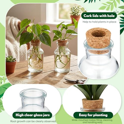 12 Pack Glass Plant Propagation Stations, Cylindrical - style: Cylindrical