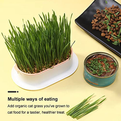 2Pcs Cat Grass Planter for Indoor Hydroponic Wheatgrass Seed Sprout Tray Organic Cat Grass Growing Kit (No Seeds Included) Soilless Pot Planting Box (G) - color: G