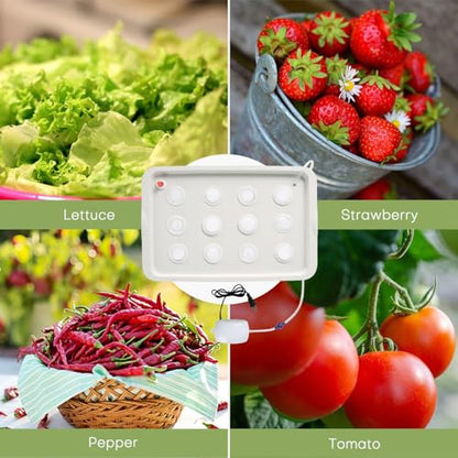 NATGAI Hydroponic System Growing Kit with Air Pump 12 Holes Soilless
