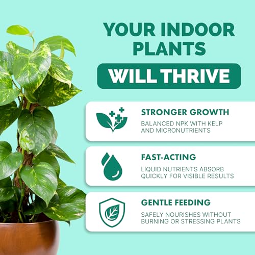Indoor Plant Food, Complete Liquid Fertilizer for Houseplants, 8oz - size: 8 oz (1/2 Pint)