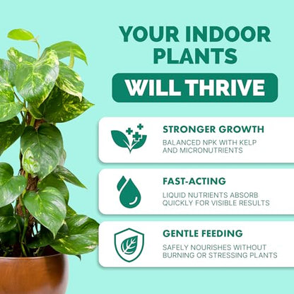 Indoor Plant Food, Complete Liquid Fertilizer for Houseplants, 8oz - size: 8 oz (1/2 Pint)