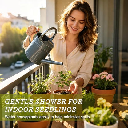 1 Gallon Watering Can for Outdoor&Indoor Plants，Gray - color: Gray