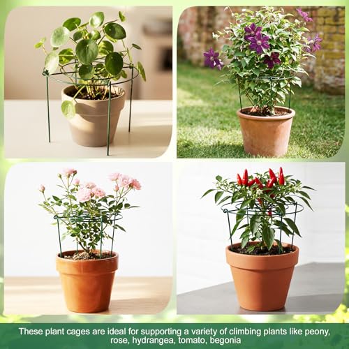 Geelin 6 Pcs Adjustable Peony Cages and Supports, 24 x 12 Inch / 9 x 12 Inch Metal Peony Support Cage, Large Plant Frame Rings for Garden Outdoor Plants Flowers Tomato Vegetables, Height Adjustable - size: 24 x 12 Inch / 9 x 12 Inch