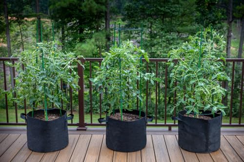 Gardzen 10-Pack 2 Gallon Grow Bags Fabric Pots with Heavy Duty Handles - size: 2 Gallons