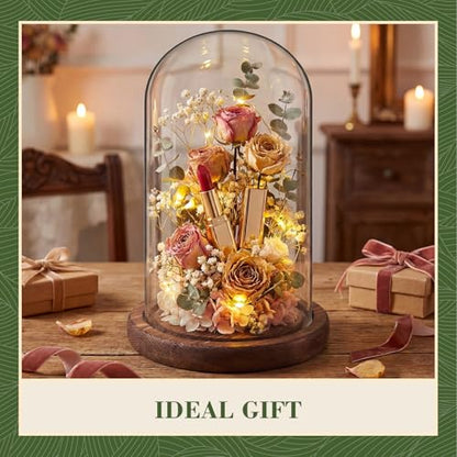 Suclain 4Pc Glass Dome Cloche with Wood Base, Brown, 6.7" X 3.8" - color: Brown, size: 6.7" X 3.8"