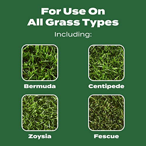 Scotts Turf Builder Lawn Food, 12.5 lbs. - size: 5,000 sq. ft.