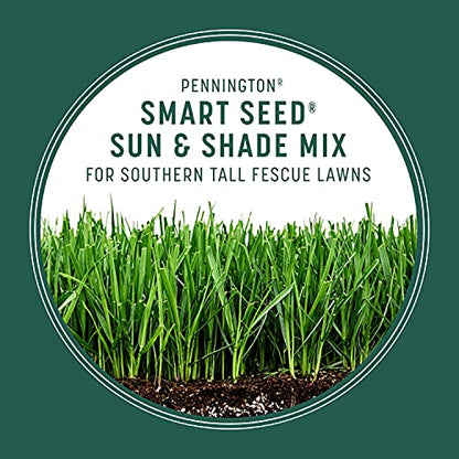 Pennington Smart Seed Sun & Shade Mix, South Tall Fescue Grass Seed, 7 lb - size: Sun & Shade South 7lb