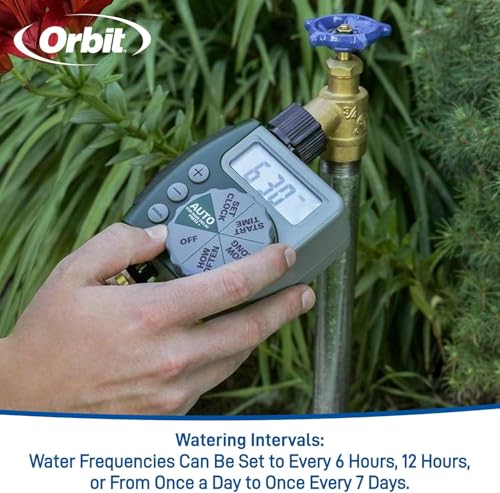 Orbit Programmable Digital Hose Watering Timer - 1 Outlet - Battery Powered - with LCD Screen - Built-in Rain Delay - Water-Resistant - 62061 (3-Pack 1 Outlet) - size: 1 Outlet (Pack of 3)