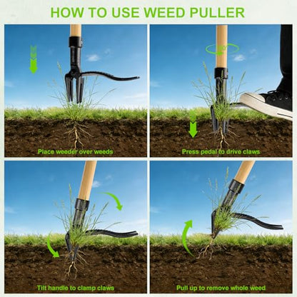 Stand Up Weed Puller Tool, Real Bamboo Long Handle 4-Claw Steel Head Weeder - size: 45-IN
