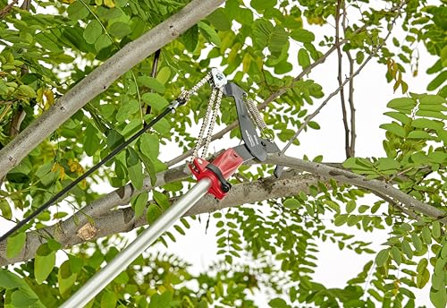Corona FlexREACH System™ Pruner Head - size: Pruner Head