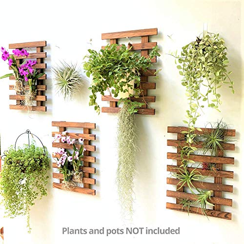 ShopLaLa Wooden Wall Planter (40cm, 4 Pack) Hanging Planters for Indoor - size: 40cm (15.7") x 4