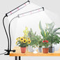 GooingTop Grow Light 100W 6000K, Super Bright White Desktop Clip Plant Lamp - size: 100Watts
