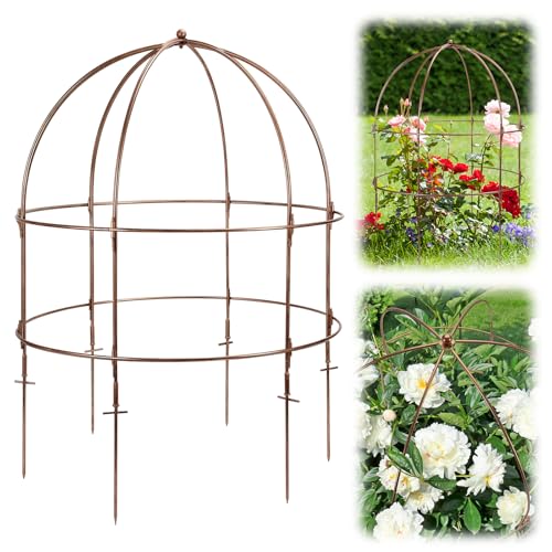 NNG 26 Inch Bird Cage Plant Support, Metal Grow-Through Cage with Dome Top