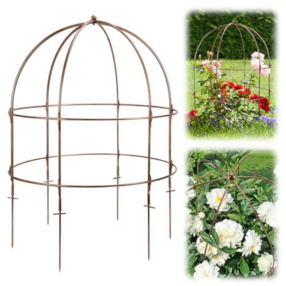 NNG 26 Inch Bird Cage Plant Support, Metal Grow-Through Cage with Dome Top