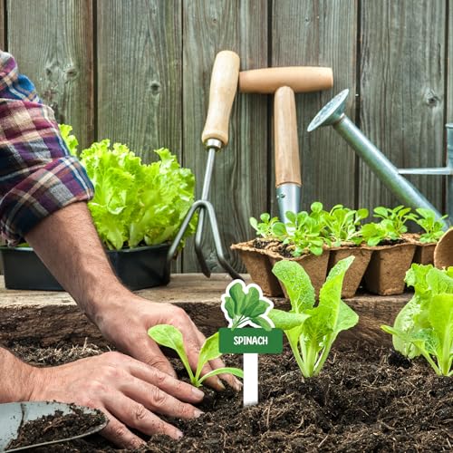 60pcs Vegetable Plant Label Signs Waterproof Fruit Plant Tag