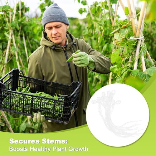 M METERXITY 24-Pack Adjustable Plant Ties, 4.7/5.9/6.7/8.2 Inch Silicone Flexible Multi-Function Garden Twist Tie for Crafts/Gift Wrapping/Gardening Plants, Reusable Support Twine [Clear ] - color: Clear