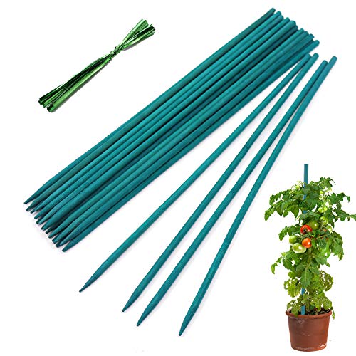 Plant Stakes 25Pcs,18IN Green Bamboo Sticks With25 Green Ties,Orchid Sticks - color: Green, size: 18 Inch 25Pack