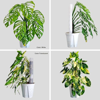 8 Pack 17 Inch Plastic Moss Pole for Monstera - color: Transparent*8pc