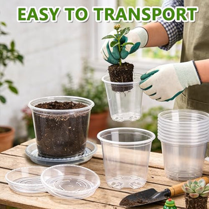 36 Pack Clear Nursery Pots with Saucers(3.5/4/5 Inch)